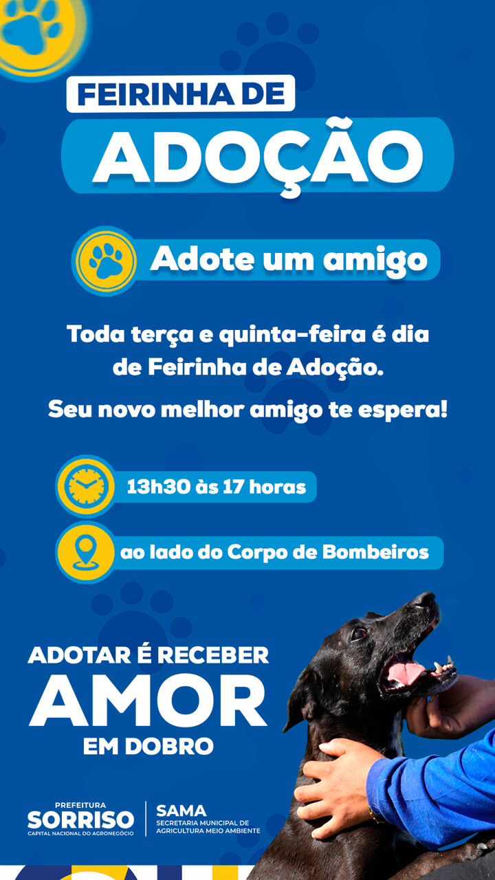 Feira de Adoção de pets será realizada duas vezes na semana
