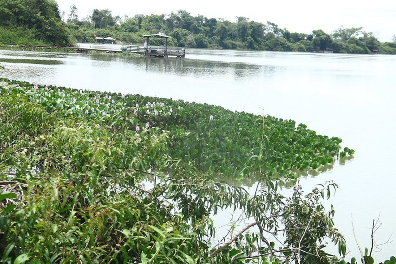 ConheçaSinop: Recanto Beckmann reforça pesca esportiva e turismo de natureza em Sinop