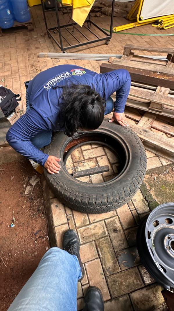 Monitoramento com ovitrampas aponta áreas de maior incidência do mosquito em Sorriso