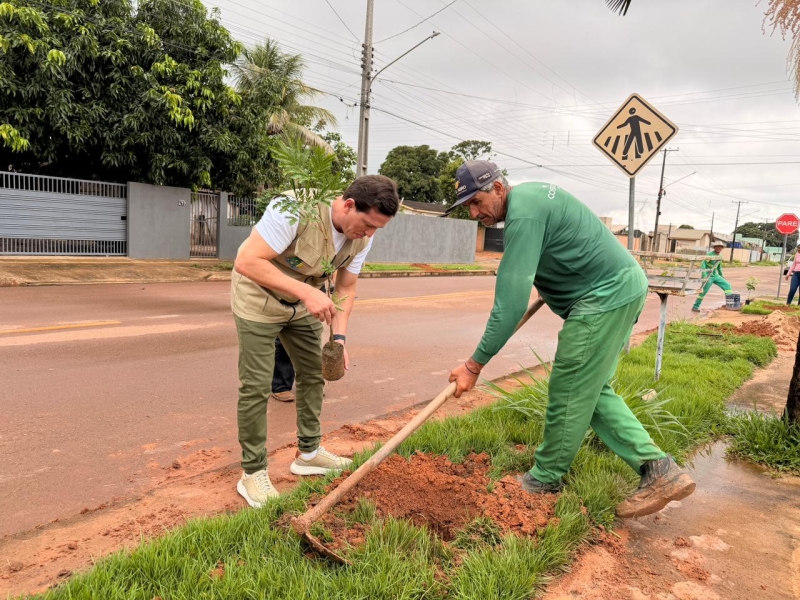 Prefeitura de Sinop amplia arborização urbana com plantio de mais de 450 árvores no bairro Alto da Glória