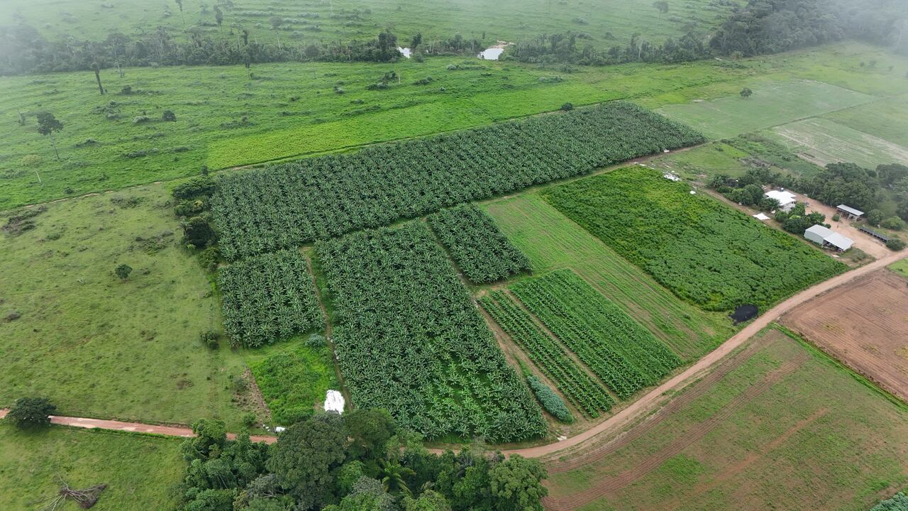 Secretaria de Agricultura fortalece a agricultura familiar e amplia a compra institucional em Alta Floresta