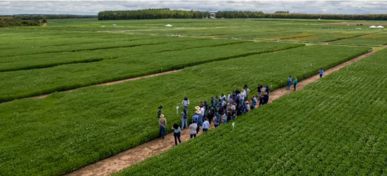 Início do ano terá visitas técnicas
