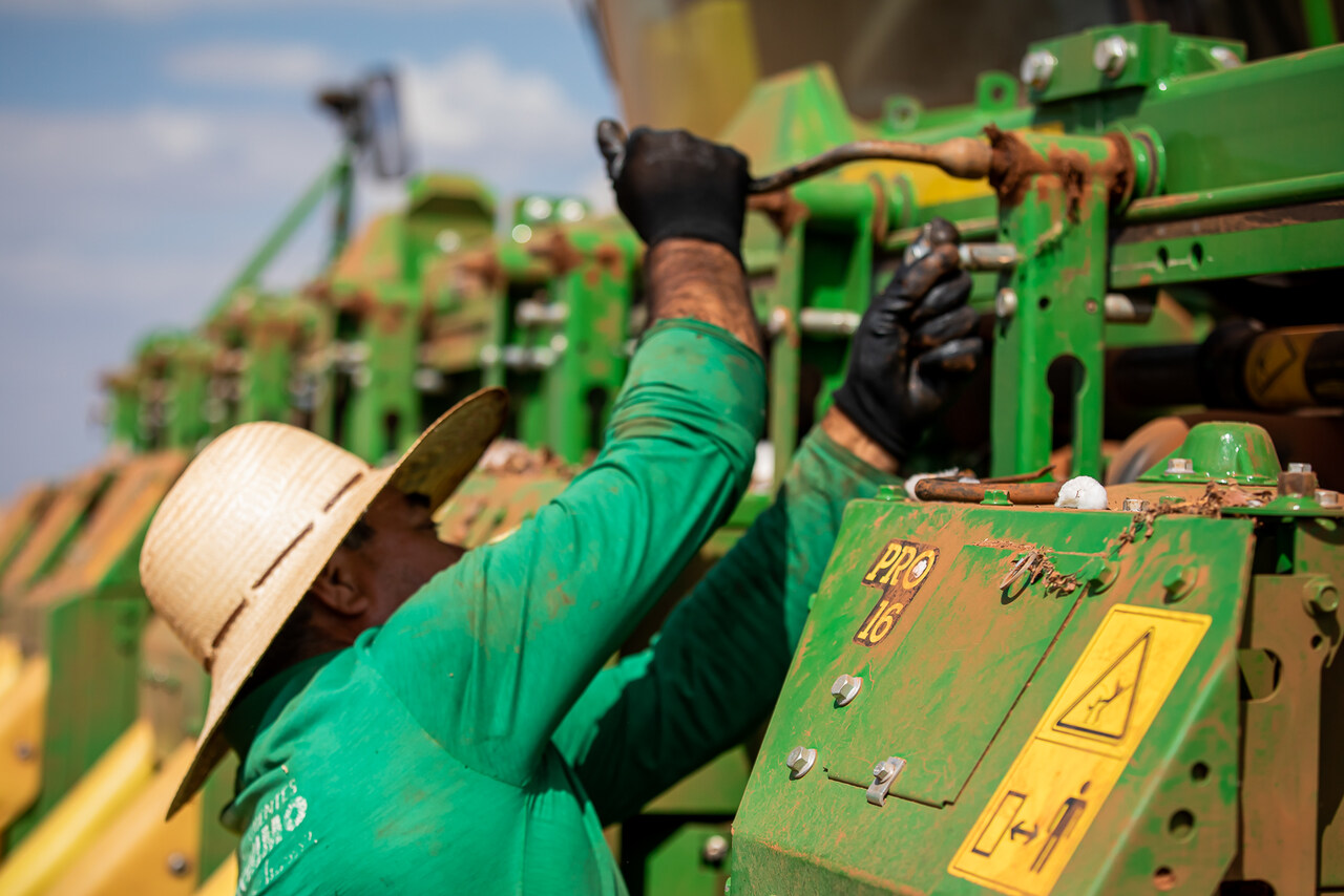 Mato Grosso fecha 2025 com crescimento de 25% no emprego formal