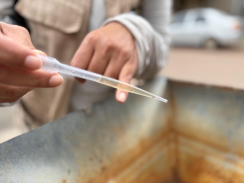 Vigilância em Saúde de Sinop alerta para novo comportamento reprodutivo do mosquito da dengue