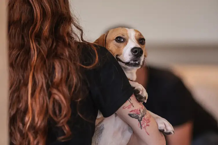 Saiba como educar crianças e adolescentes para respeitar os animais